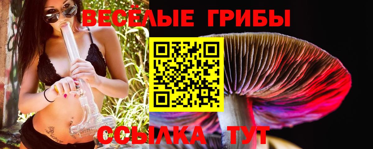 Галлюциногенные грибы мицелий  Вход с VPN  Псилоцибиновые грибы Cubensis  Рославль 