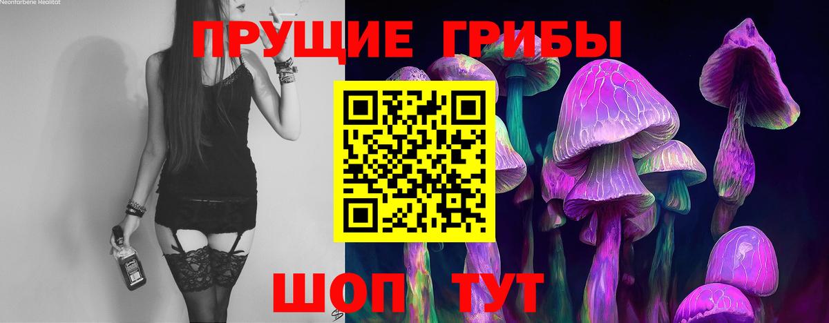 Псилоцибиновые грибы Cubensis Рославль